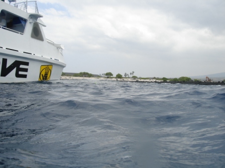 Snorkel tour Kona